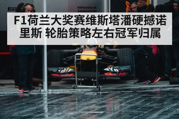 Max Verstappen Red Bull racing